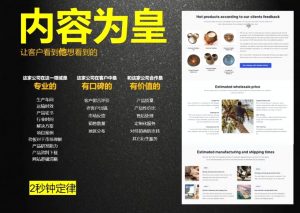 刘老师·外贸询盘增长秘籍从0到1的实战指南-E网资源