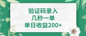 验证码录入，几秒一单，单日收益200+-E网资源