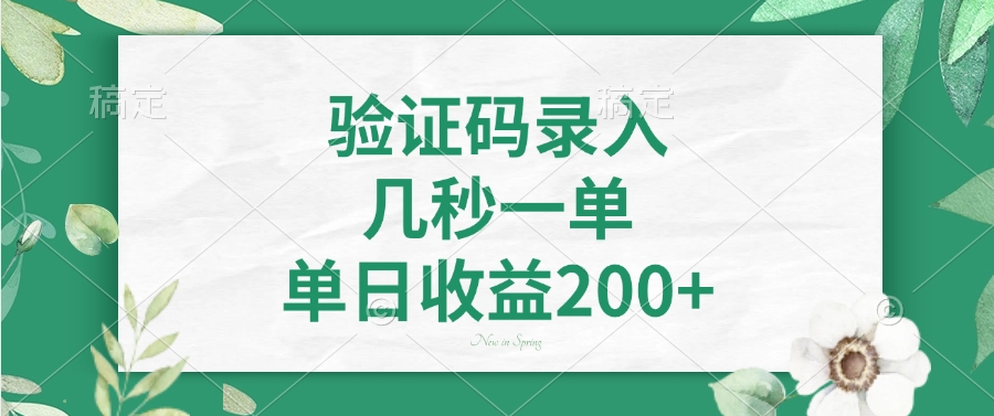 验证码录入，几秒一单，单日收益200+-E网资源