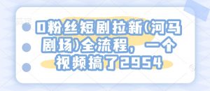 0粉丝短剧拉新(河马剧场)全流程，一个视频搞了2954-E网资源