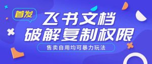 首发飞书文档破解复制权限，售卖自用均可暴力玩法-E网资源