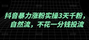 抖音暴力涨粉实操3天千粉，自然流，不花一分钱投流，实操经验分享-E网资源