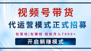 【视频号代运营】全程托管计划招募，躺赚模式，单月轻松变现7000+-E网资源