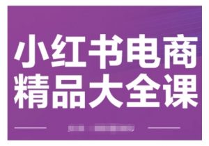 小红书电商精品大全课，快速掌握小红书运营技巧，实现精准引流与爆单目标，轻松玩转小红书电商(更新2月)-E网资源