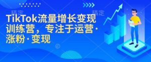 TikTok流量增长变现训练营，专注于运营·涨粉·变现-E网资源