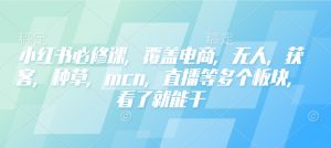 小红书必修课，覆盖电商，无人，获客，种草，mcn，直播等多个板块，看了就能干-E网资源