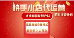 快手小店代运营，被动躺Z收益，收益五五分，单日稳定变现五张【揭秘】-E网资源