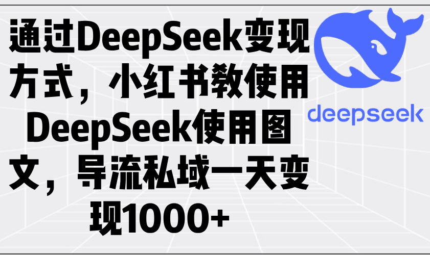 通过DeepSeek变现方式，小红书教使用DeepSeek图文，导流私域一天变现1000+-E网资源