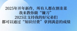 2025年开年新作，所有人都在割韭菜，我来教你做“镰刀” 2025让支持我的好兄弟们都可以通过“知识付费”拿到满意的成绩【揭秘】-E网资源