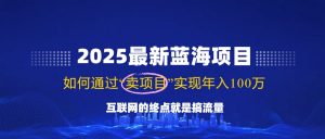 2025最新蓝海项目，零门槛轻松复制，月入10万+，新手也能操作！-E网资源