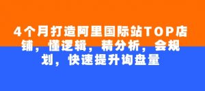 4个月打造阿里国际站TOP店铺，懂逻辑，精分析，会规划，快速提升询盘量-E网资源