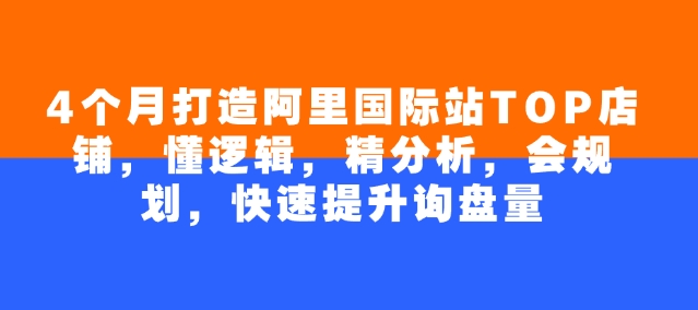 4个月打造阿里国际站TOP店铺，懂逻辑，精分析，会规划，快速提升询盘量-E网资源