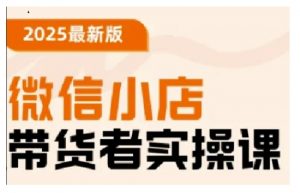 2025最新版微信小店带货者实操课，基础操作到高级运营技巧，快速上手-E网资源