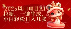 2025风口项目AI拉新，一键生成，小白轻松日入几张-E网资源