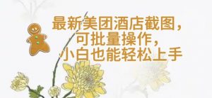 【轻云】最新美团酒店截图，可批量操作，小白也能轻松上手-E网资源