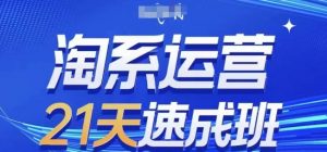淘系运营21天速成班(更新25年2月)，0基础轻松搞定淘系运营，不做假把式-E网资源