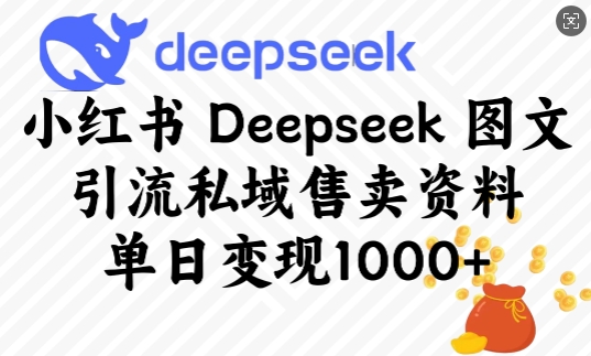 小红书Deepseek图文引流私域售卖资料，单日变现多张-E网资源