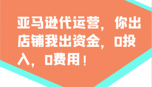 亚马逊代运营，你出店铺我出资金，0投入，0费用，无责任每天300分红，赢亏我承担-E网资源