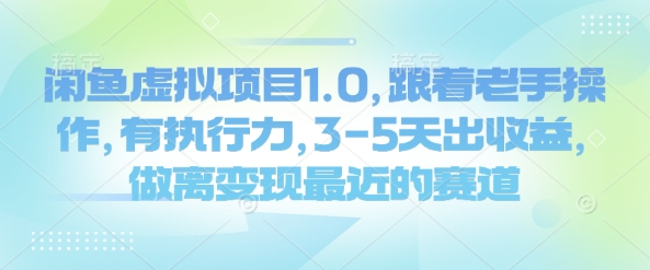 闲鱼虚拟项目1.0，跟着老手操作，有执行力，3-5天出收益，做离变现最近的赛道-E网资源