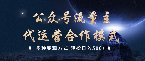 公众号流量主代运营  多种变现方式 轻松日入5张【揭秘】-E网资源