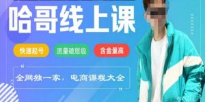 电商线上课程2025年，快速起号，流量破层级，这套方法起号率99%-E网资源