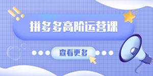 拼多多高阶运营课：极致群爆款玩法，轻付费无尽复制，打造单品爆款之路-E网资源