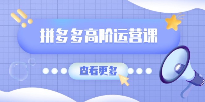 拼多多高阶运营课:极致群爆款玩法,轻付费无尽复制,打造单品爆款之路-E网资源