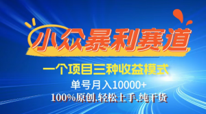 【灵狐计划】视频号最新爆火赛道，三种收益模式，0粉新号条条热门原创...-E网资源