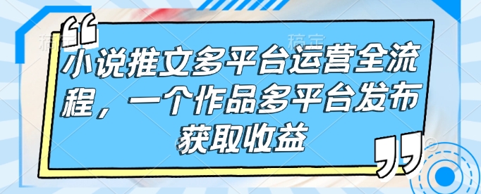 小说推文多平台运营全流程，一个作品多平台发布获取收益-E网资源