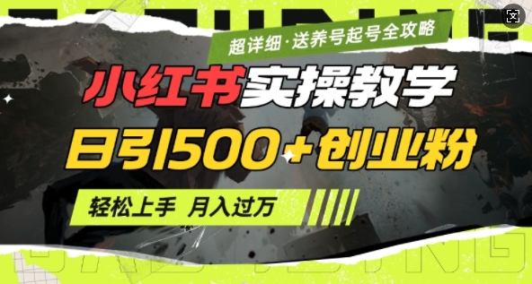 2月小红书最新日引500+创业粉实操教学【超详细】小白轻松上手，月入1W+，附小红书养号起号SOP-E网资源