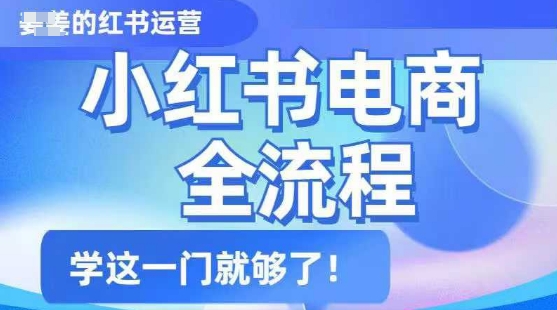 小红书电商全流程，精简易懂，从入门到精通，学这一门就够了-E网资源