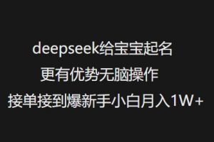 deepseek给宝宝起名更有优势无脑操作接单接到爆新手小白月入1W+-E网资源