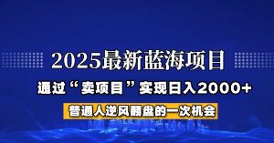 2025年蓝海项目，如何通过“网创项目”日入2000+-E网资源