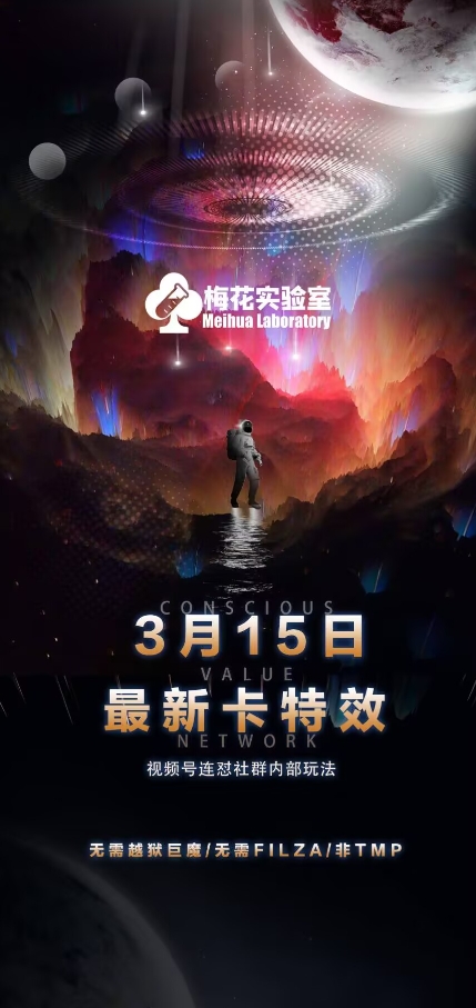 梅花实验室视频号连怼玩法-3月15日最新卡特效技术(无需越狱、巨魔、tmp)-E网资源
