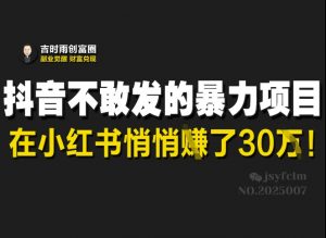 抖音不敢发的暴利项目，在小红书悄悄挣了30W-E网资源