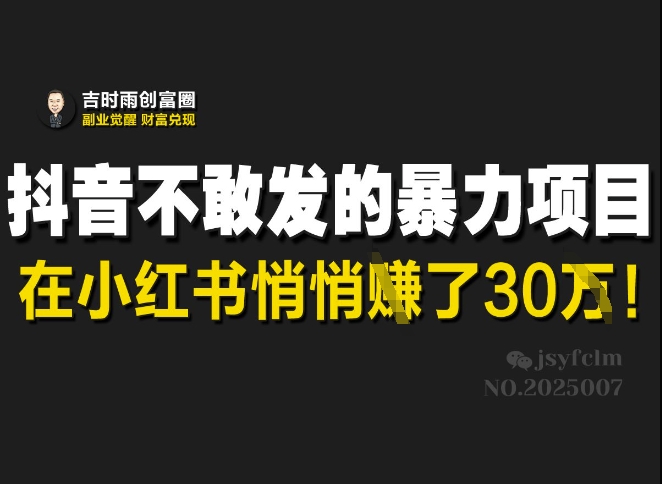 抖音不敢发的暴利项目，在小红书悄悄挣了30W-E网资源