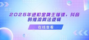 2025年进阶金牌主播课，抖音的推流算法逻辑-E网资源