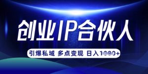 云帆·创业ip合伙人打造3.0，从0到1教你做网创，实现月入过W-E网资源