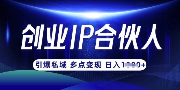 云帆·创业ip合伙人打造3.0,从0到1教你做网创,实现月入过W-E网资源