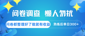 问卷调查 懒人勿扰 问卷都整理好了，做就有收益，熟练后日入300+-E网资源
