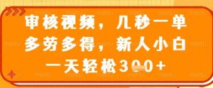 审核视频，几秒一单，多劳多得，新人小白一天轻松3张【揭秘】-E网资源