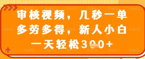 审核视频，几秒一单，多劳多得，新人小白一天轻松3张【揭秘】-E网资源