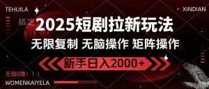 2025短剧拉新玩法，无需注册登录，无限0撸，无脑批量操作日入2000+-E网资源