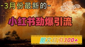 小红书超劲爆引流手段，图文日引300+轻松变现1W-E网资源