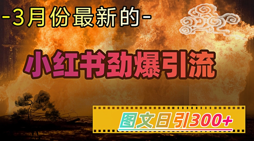 小红书超劲爆引流手段，图文日引300+轻松变现1W-E网资源