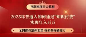 网创项目终点站-镰刀训练营超级IP合伙人，25年普通人如何通过“知识付费”年入百万-E网资源