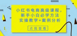 小红书电商高级课程，新手小白必学方法，实操教学+案例分析-E网资源