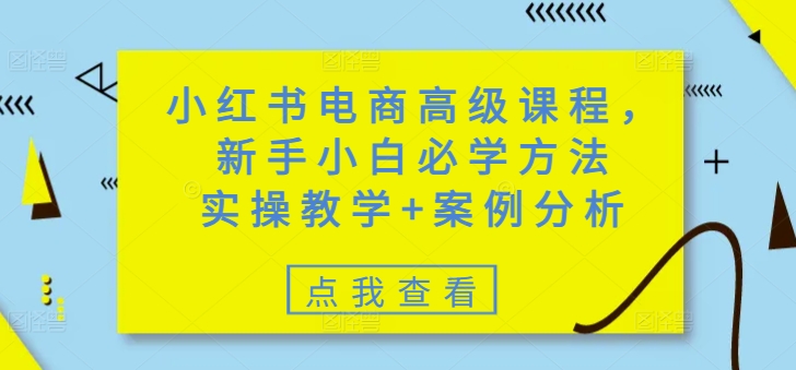 小红书电商高级课程，新手小白必学方法，实操教学+案例分析-E网资源
