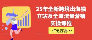 25年全新跨境出海独立站及全域流量营销实操课程，跨境电商独立站TIKTOK全域营销普货特货玩法大全-E网资源