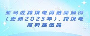 亚马逊跨境电商选品案例(更新2025年3月)，跨境电商利基选品-E网资源